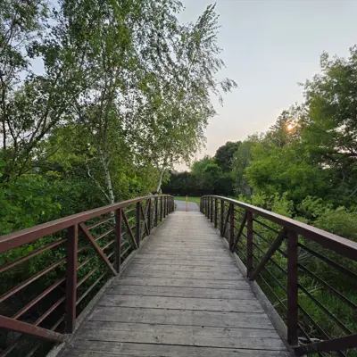 Bridge, Simon Street Park 